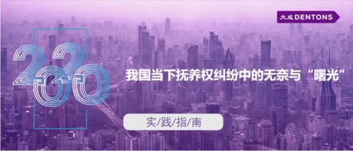 我國當下?lián)狃B(yǎng)權糾紛中的無奈與曙光